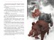 Фото Заклятий меч, або Голос крові 5