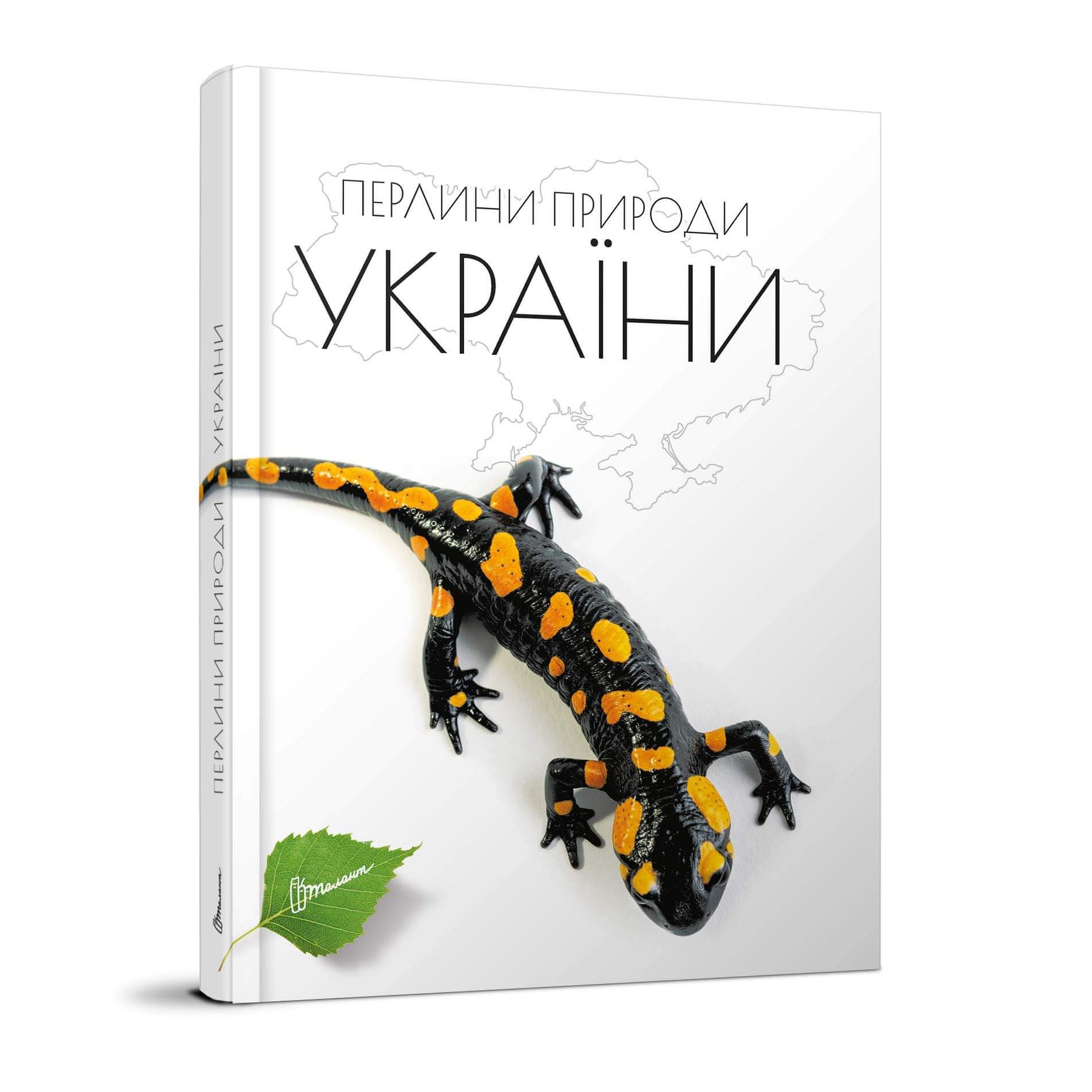 Main Product