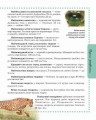 Фото Тварини. Енциклопедія 4