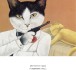Фото Галерея котів 8