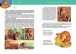 Фото Велика книга про тварин 3