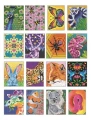 Фото Кольоровий квест. ЗооДива 4