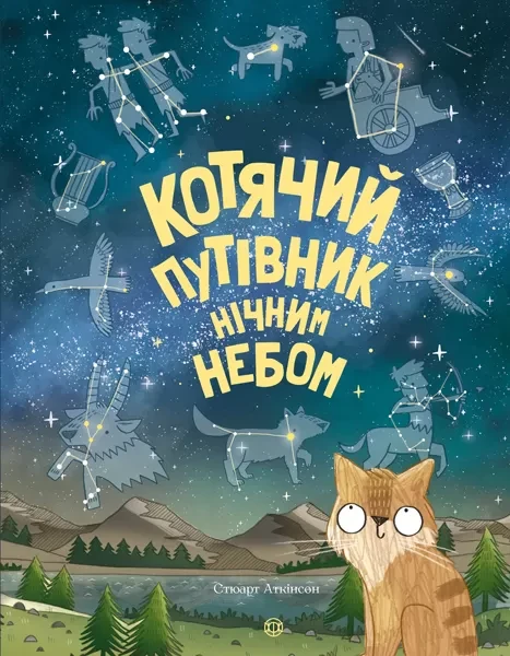 Фото Котячий путівник нічним небом