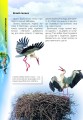 Фото Про все на світі маленьким українцям 2