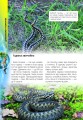 Фото Про все на світі маленьким українцям 3