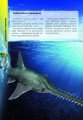Фото Про все на світі маленьким українцям 5