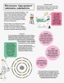 Фото Елементарно! Науковий детектив 8
