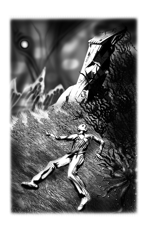 Hidden Product Image 6