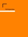 Фото Бізнес по-одеськи. Як побудувати мережу, не втративши себе 5