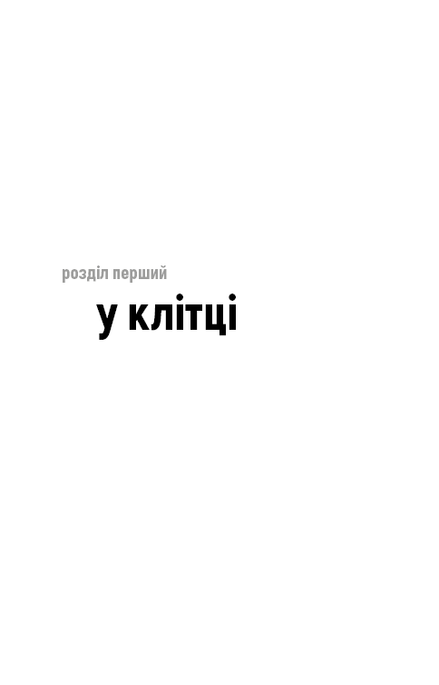 Hidden Product Image 11