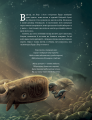 Фото Ґерда. Книга 2. Розповідь про мужність на морі 4