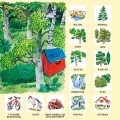 Фото Ліс 4