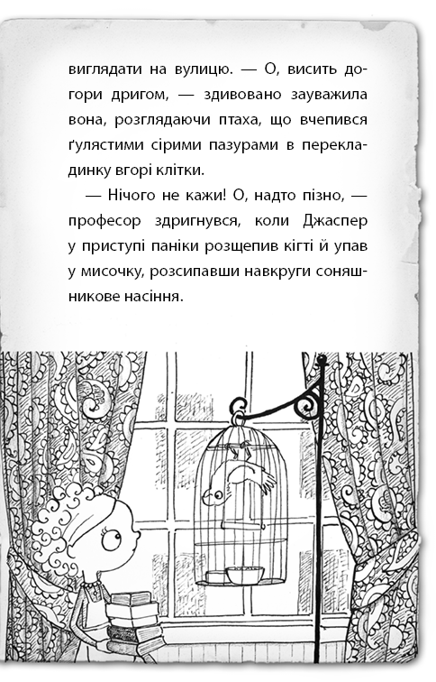 Hidden Product Image 10