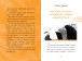Фото Містер Пінґвін і катастрофа в круїзі. Книга 3 3