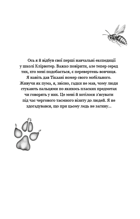 Hidden Product Image 7