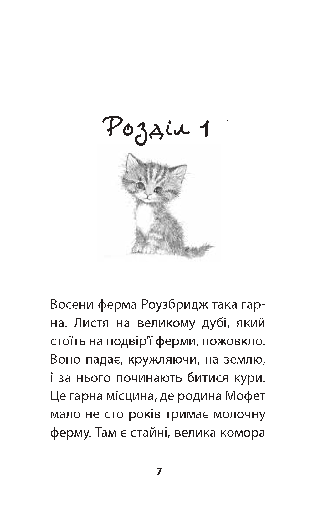 Hidden Product Image 7