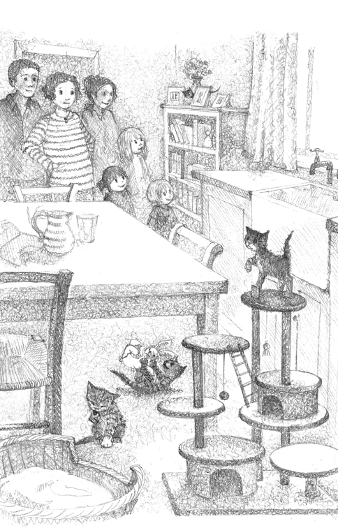Hidden Product Image 15
