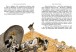 Фото Вождь Червоношкірих 3