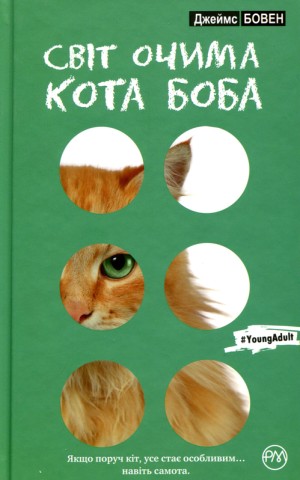 Світ очима кота Боба
