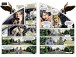 Фото Болотяна істота. Сага. Книга 1 3