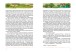 Фото Пригоди Пеппі Довгапанчохи 3