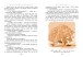Фото Малий та Карлсон, що живе на даху. Книга 1 3