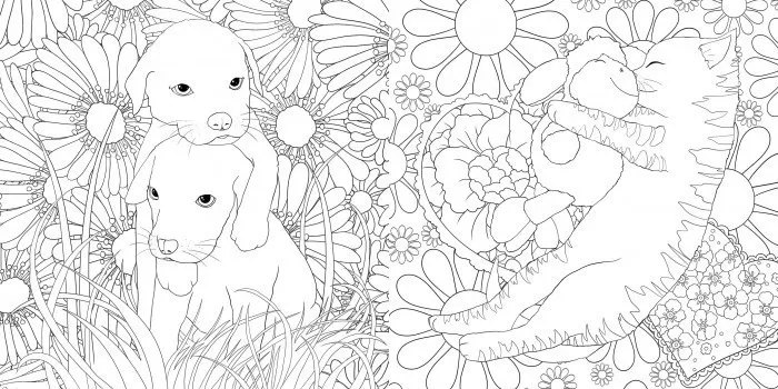 Hidden Product Image 8
