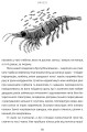 Фото Підглядаючи за китами. Минуле, сьогодення та майбутнє найбільших у світі тварин 6