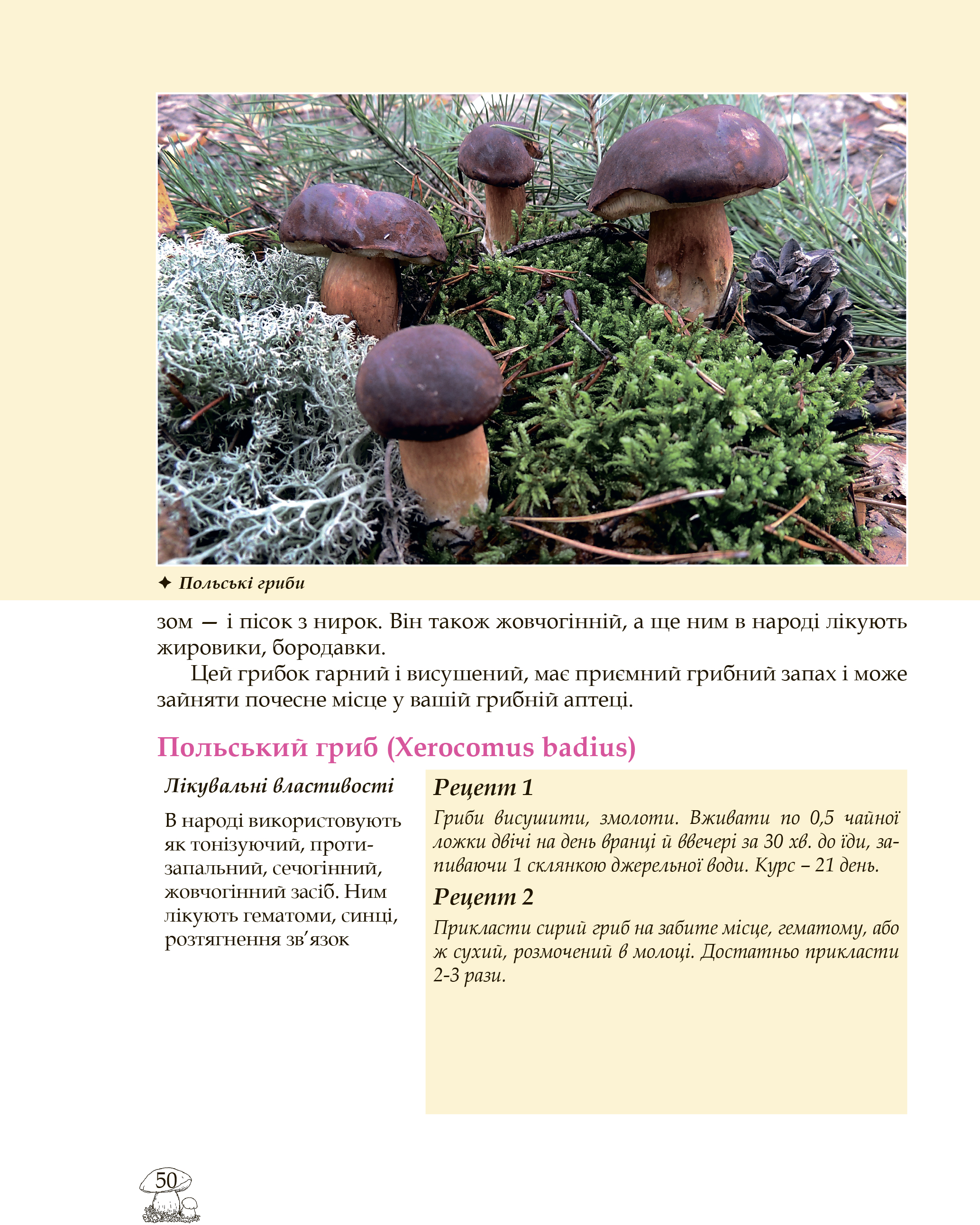 Hidden Product Image 6