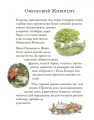Фото Осіння історія. Джилл Барклем 2