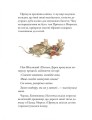 Фото Таємні сходи. Ожиновий живопліт 2