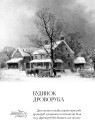 Фото Синій птах 3