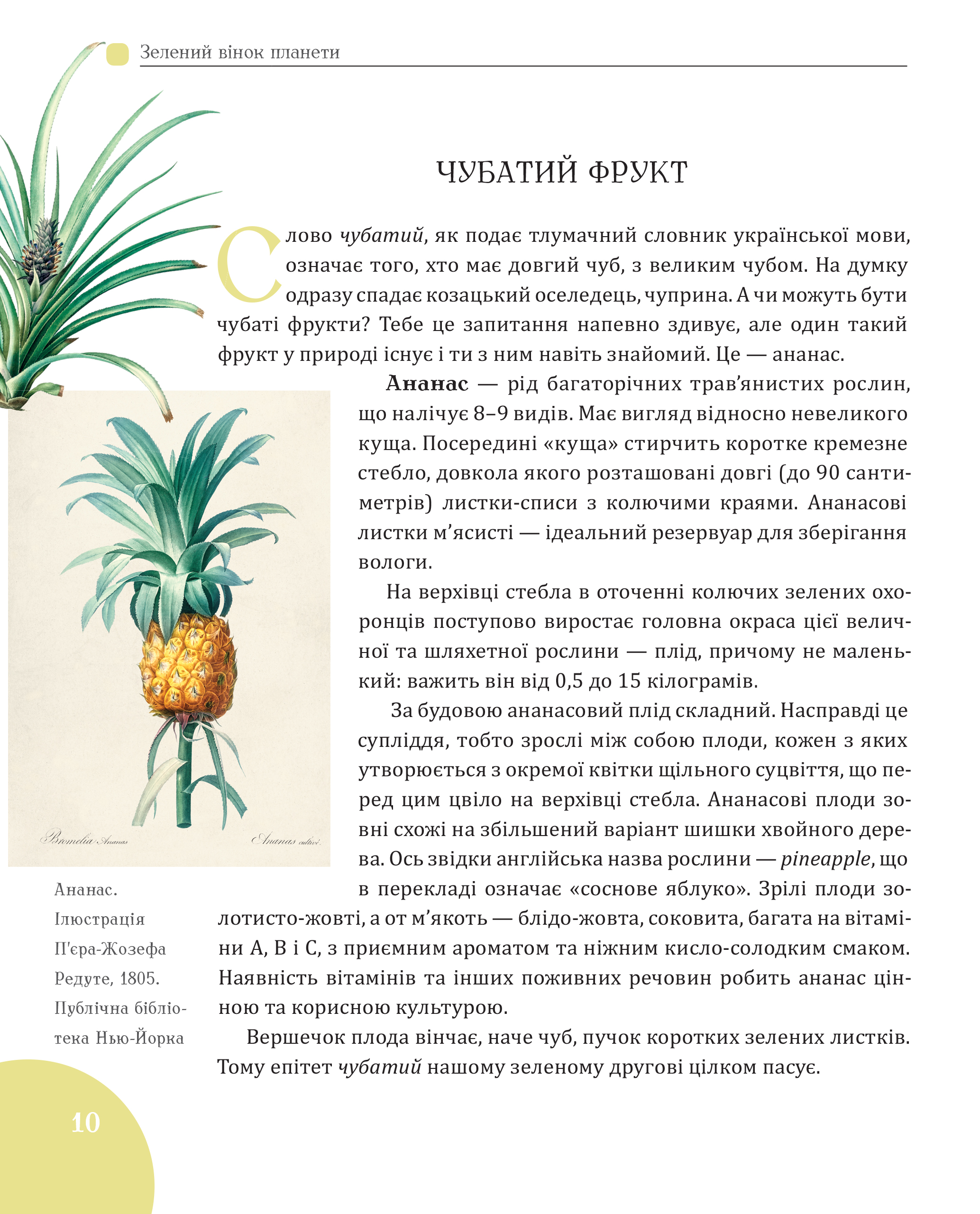 Hidden Product Image 6