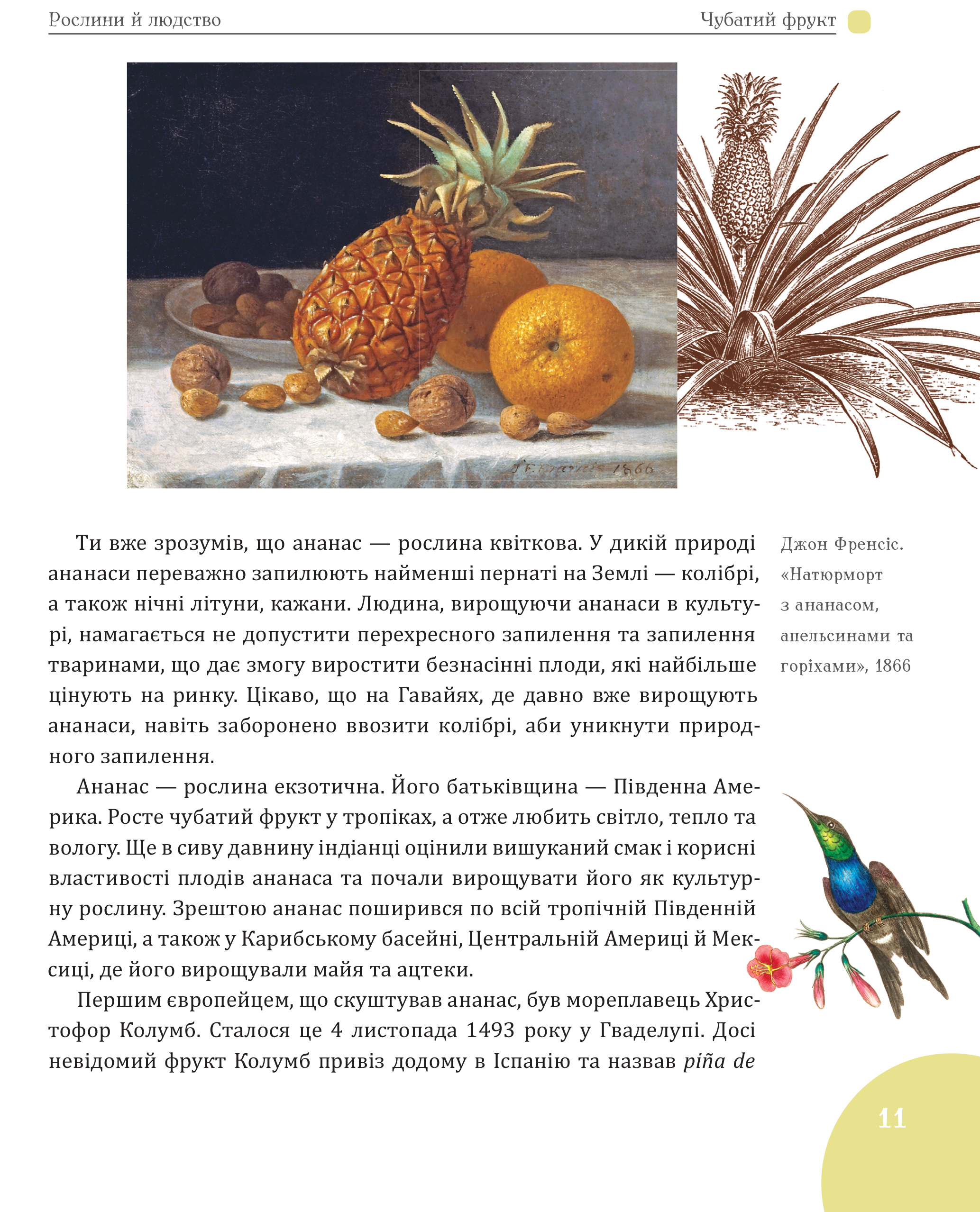 Hidden Product Image 7