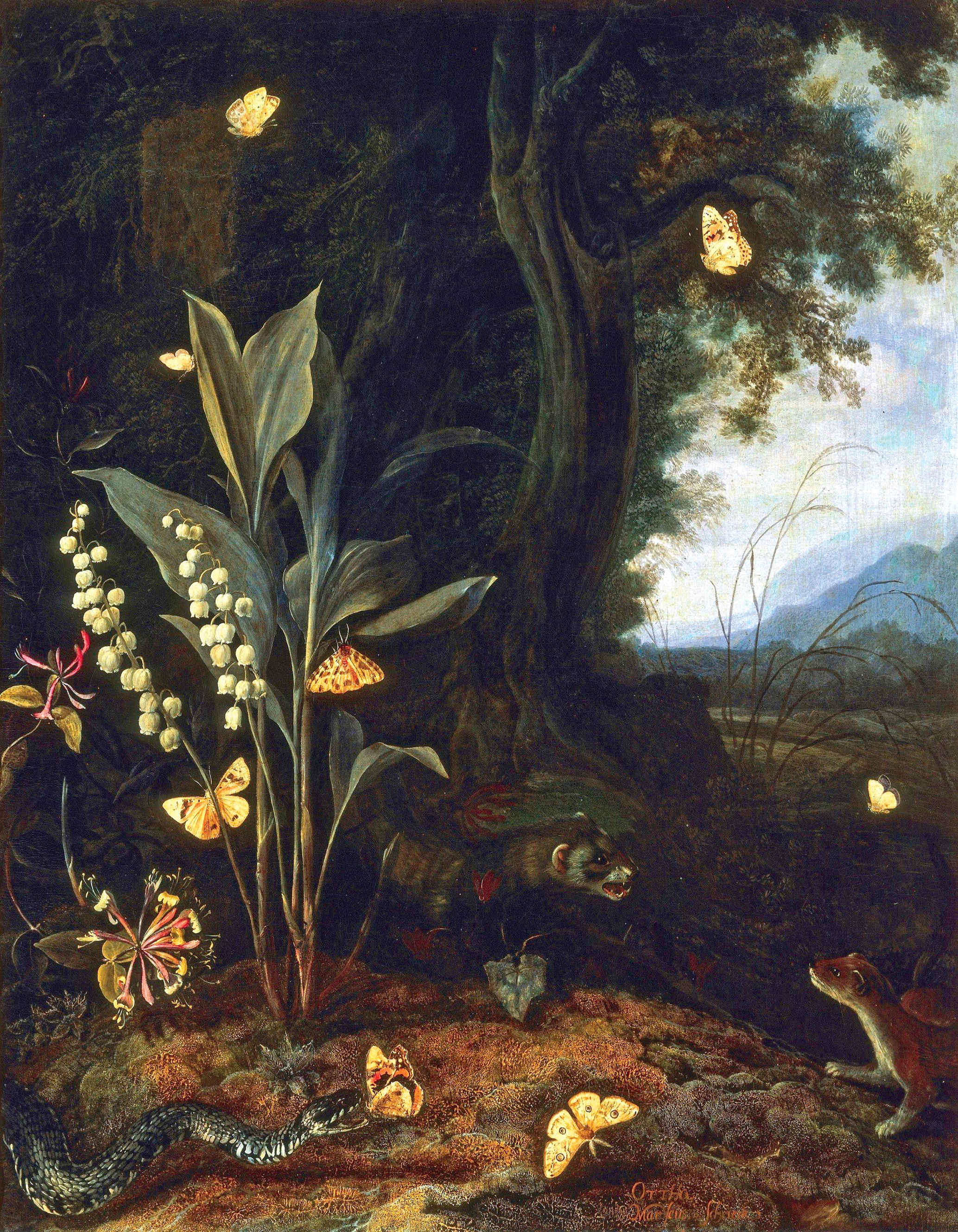 Hidden Product Image 11