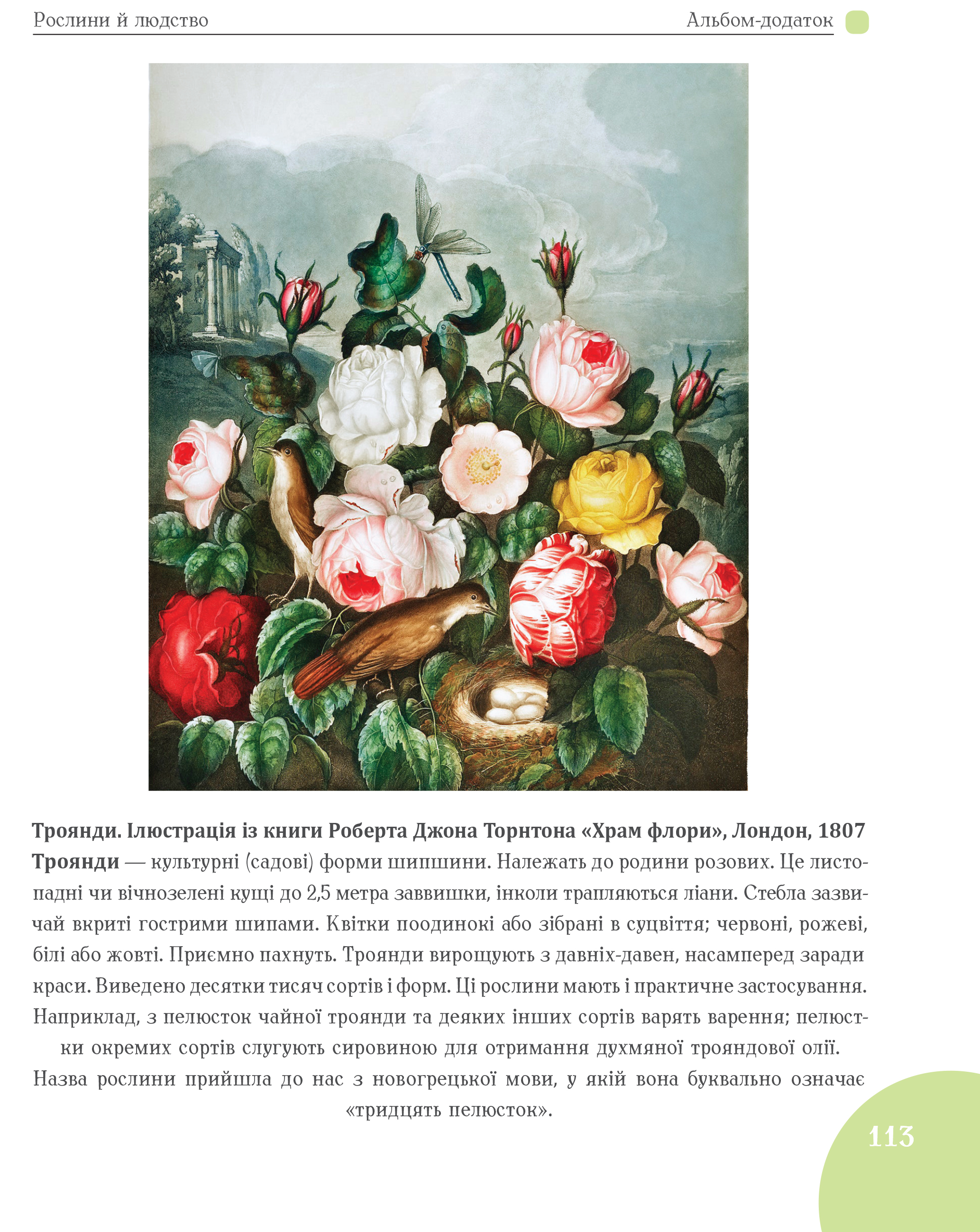 Hidden Product Image 13