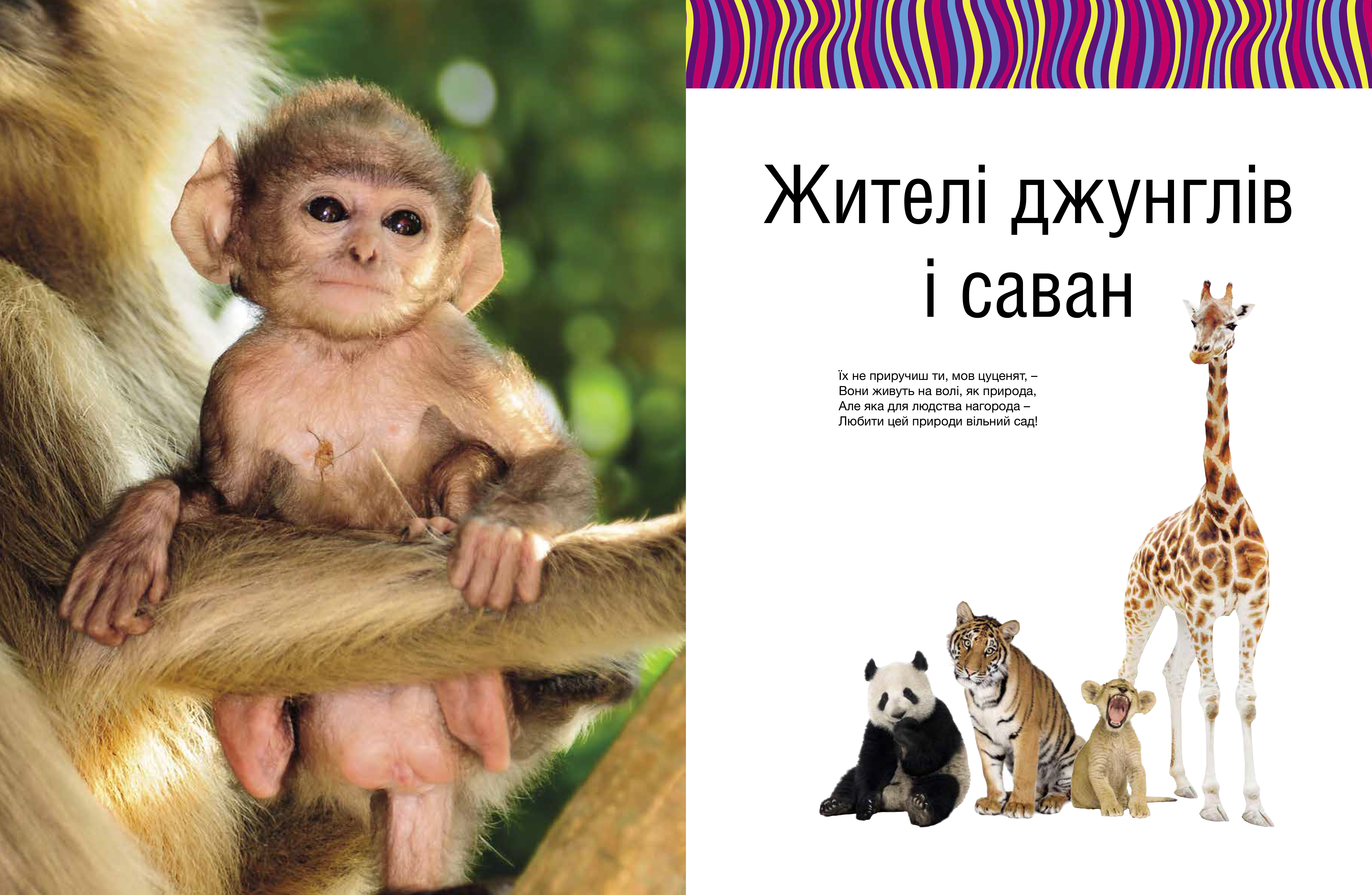 Hidden Product Image 9