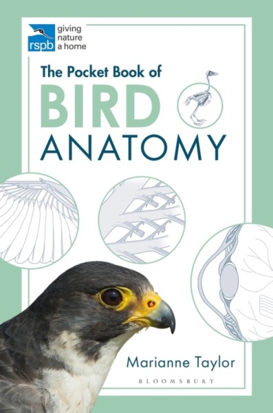 Фото The Pocket Book of Bird Anatomy