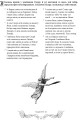 Фото Біблія в гравюрах Гюстава Доре 12