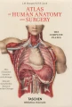 Atlas anatomy, Bourgery