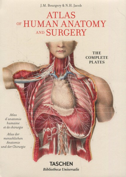 Фото Atlas anatomy, Bourgery