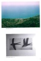 Фото YOUR ART 3