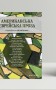 Американська єврейська проза
