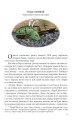 Фото ТІнь на півночі. Подарункове видння 4