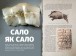 Фото Смачні пригоди 2
