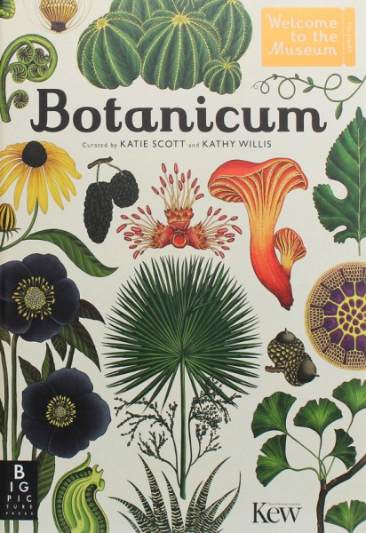 Фото BOTANICUM