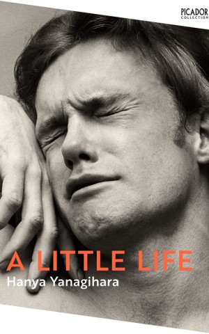 A Little Life