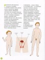 Фото Енциклопедія статевого життя. 7-9 років 6