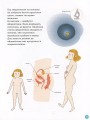 Фото Енциклопедія статевого життя. 7-9 років 9