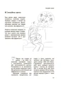 Фото Дитина зводить мене з розуму! Зберігаємо спокій у вік вередувань та впертості. 6-11 років 6